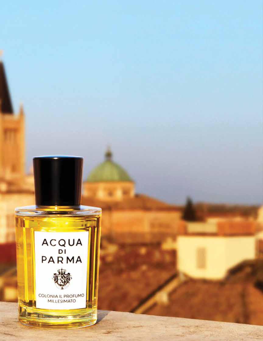 Refined, Luminous, Vibrant!